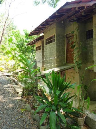 Luz De Mono Otel Montezuma Dış mekan fotoğraf